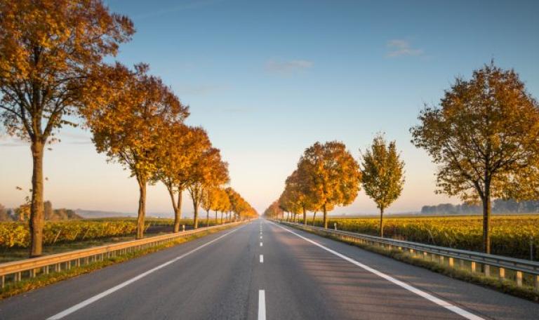 A long road with trees either side